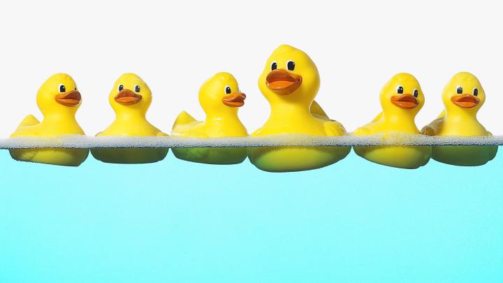 Cartoon Duck Wallpapers - Top Free Cartoon Duck Backgrounds 