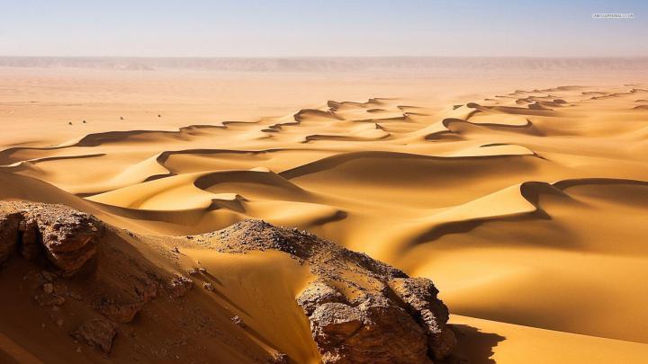 [62+] Sand Dunes Wallpaper 
