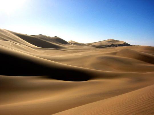Dune Wallpaper -