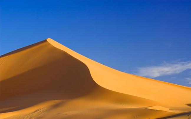 [44+] Dune Wallpaper 