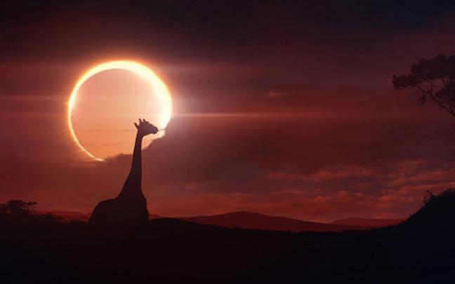 Solar Eclipse Wallpapers -