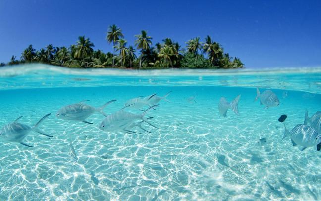Free Ocean Desktop Wallpapers