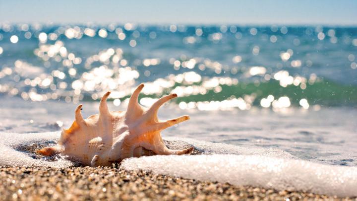 Free Ocean Desktop Wallpapers