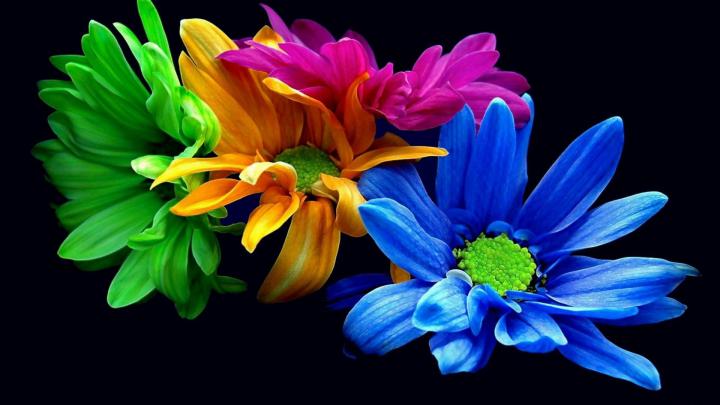 Microsoft Desktop Backgrounds (59+ images)