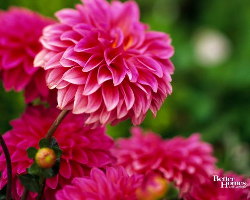 LOVE QUOTES: free spring desktop wallpaper