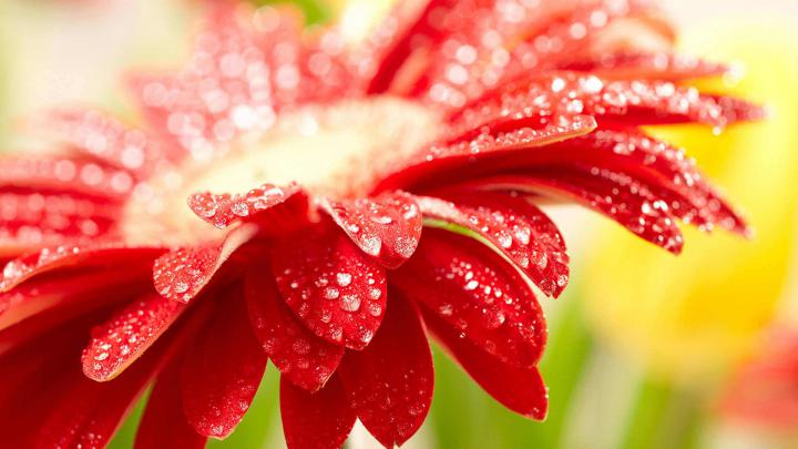 Desktop Wallpaper Spring Scenes (74+ images)
