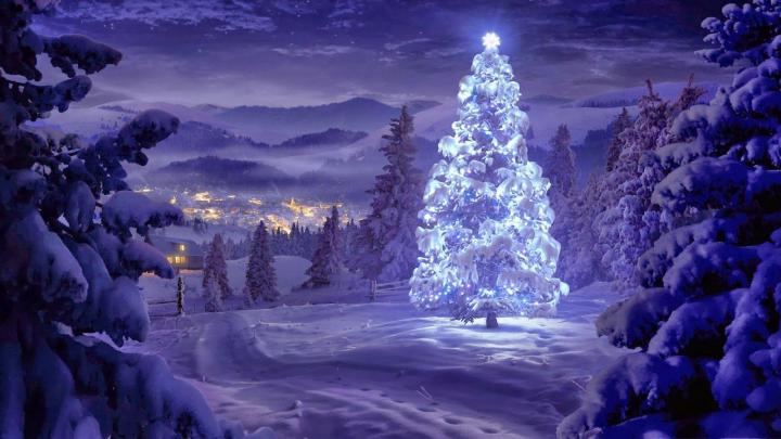 Free Christmas Nature Wallpapers
