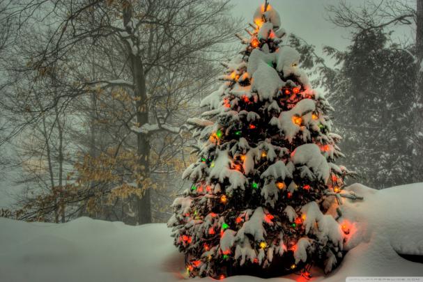 Microsoft Desktop Wallpaper Christmas (66+ images)