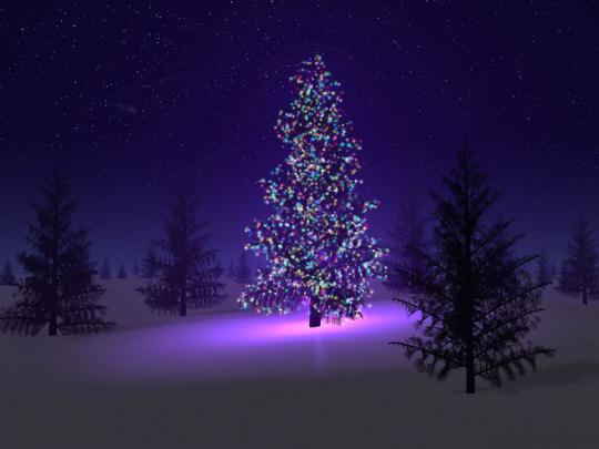 Best wallpapers of Christmas tree | Wallpapers High Definition 