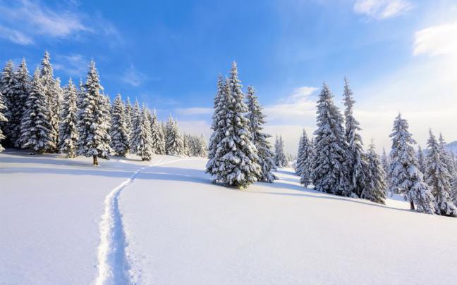 Ski Paradise Windows 10 Theme | Free Wallpaper Themes