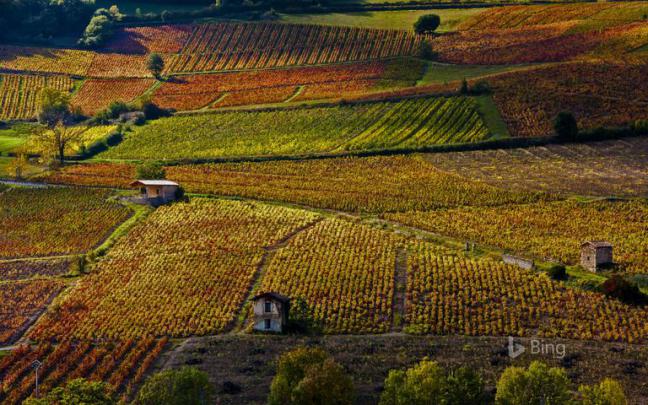 Bing Fall Colors Windows 10 Theme | Free Wallpaper Themes