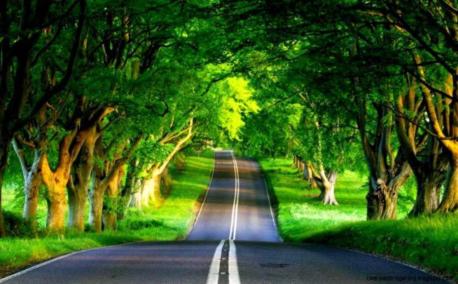 Full HD Wallpapers Download