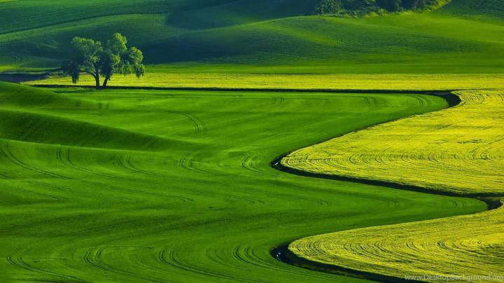 Free Download Full Hd Nature Wallpapers For PC Desktop Backgrounds 