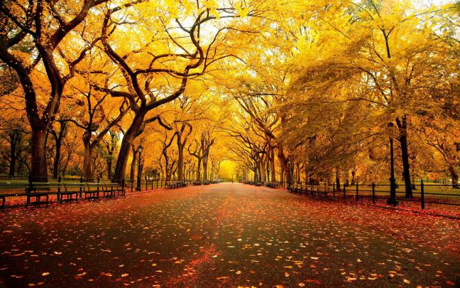 Full HD Wallpapers Download