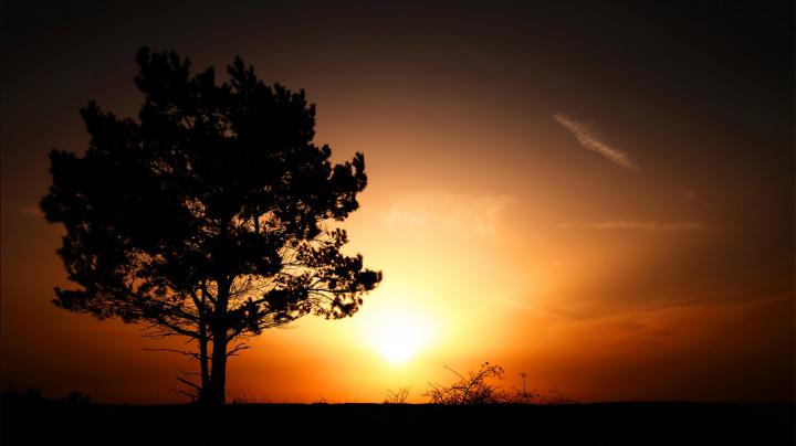 Sunrise Wallpapers | HD Wallpapers | ID #10633