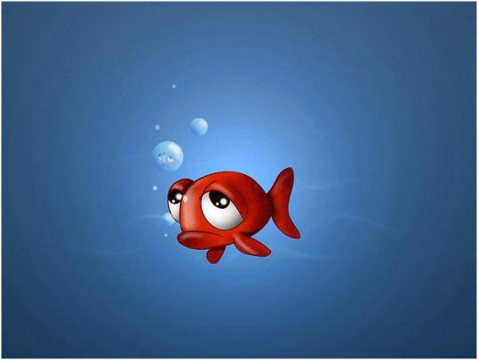 Funny 3D Desktop Wallpaper -