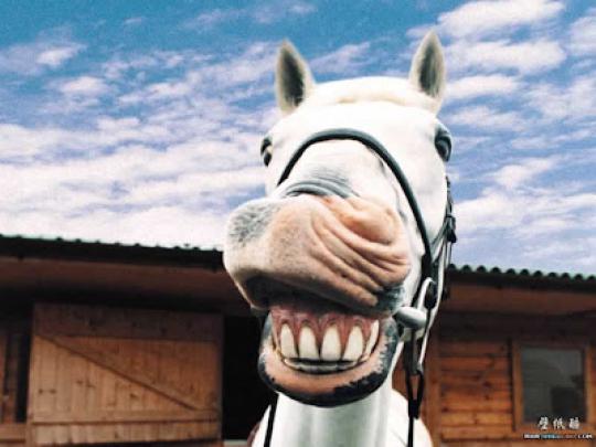 3d desktop wallpaper: funny 3d desktop wallpaper