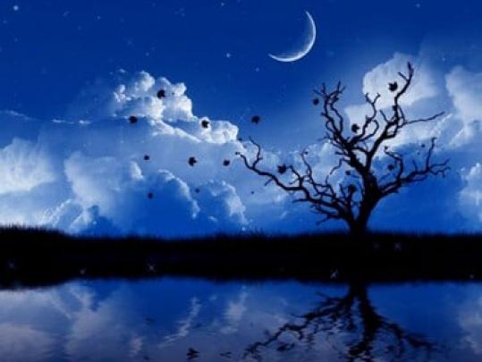 [49+] Funny 3D Animated Desktop Wallpaper 