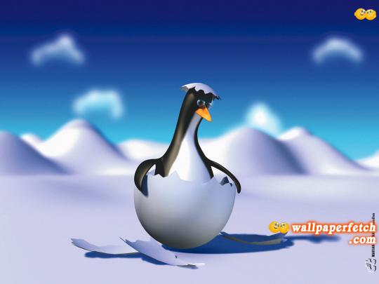 Wallpaper Fetch: Funny 3D Desktop Wallpapers