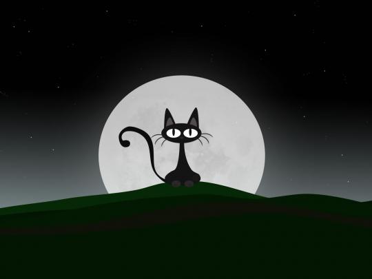 Funny Cartoon Wallpapers 3 Desktop Background - Funnypicture.org