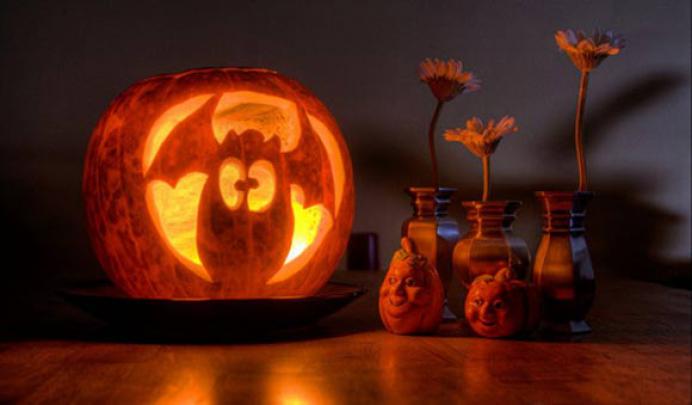 20+ Funny Halloween Pics-Animated Gifs \u0026 Wallpapers | EntertainmentMesh