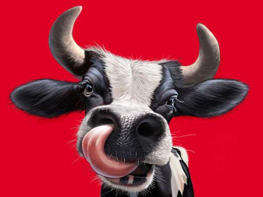 3d funny animated cow hd wallpaper | EntertainmentMesh