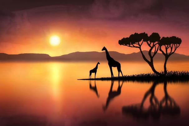 Giraffe Desktop Backgrounds