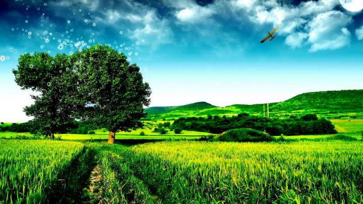 Go Green Wallpapers