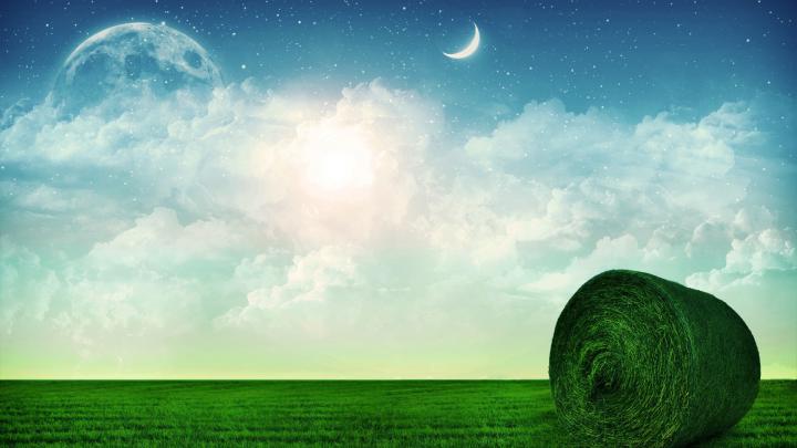 45 HD Green Wallpapers\/Backgrounds For Free Download