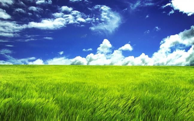 Green Grassl Wallpapers | Wallpapers HD