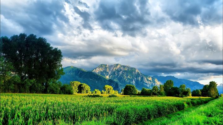 Green Nature | Full HD Desktop Wallpapers 1080p