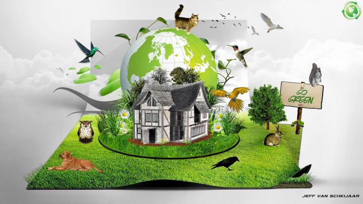 Go Green Wallpapers Desktop