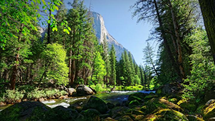 [47+] OS X El Capitan Wallpaper 