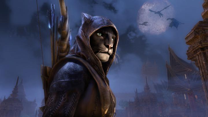 The Elder Scrolls Online: Elsweyr Wallpapers