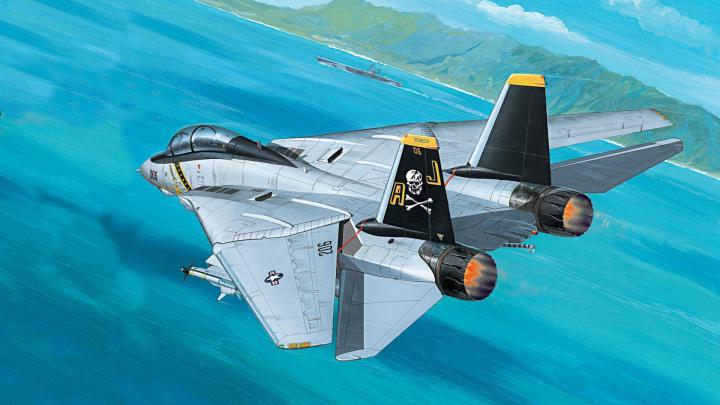 Grumman F-14 Tomcat Full HD Wallpaper and Background Image | 1920x1080 