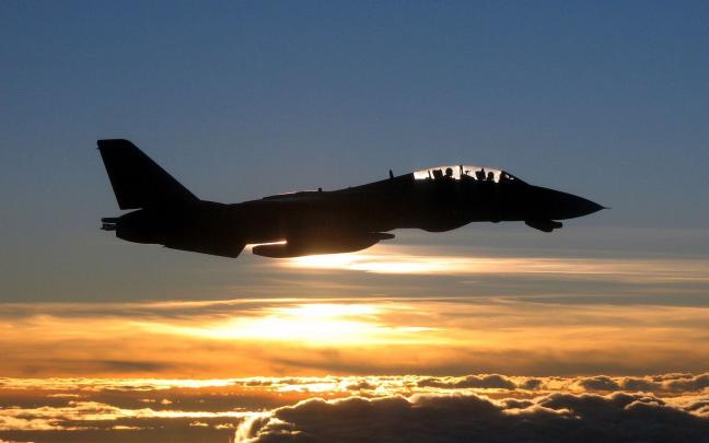 [39+] F 14 Tomcat Wallpaper HD 
