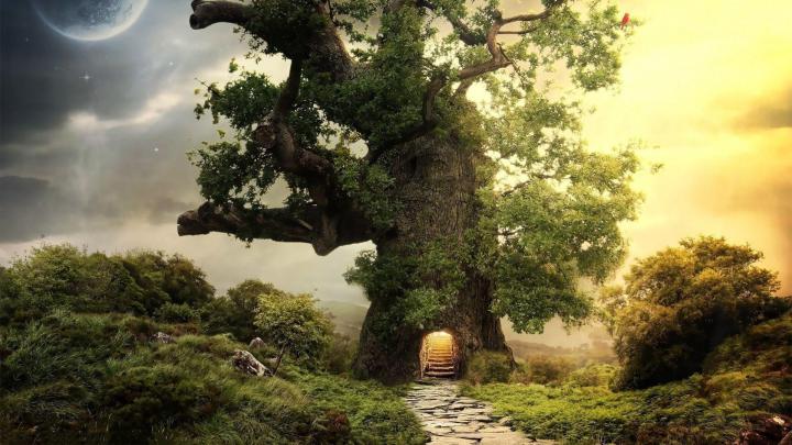 Fantasy HD Wallpapers 1920x1080
