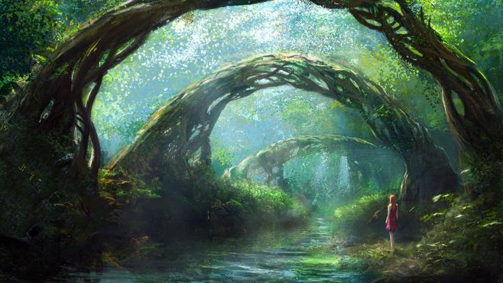 Fantasy Forest Wallpaper HD -
