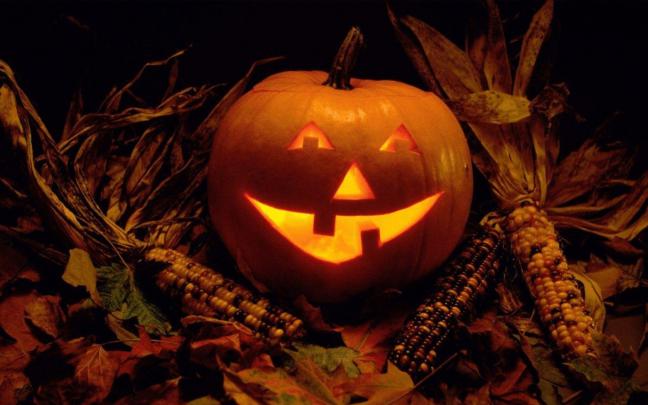 Halloween, Pumpkin, Jack O Lantern HD Wallpapers \/ Desktop and Mobile 