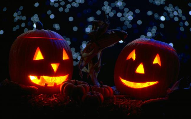 Halloween Pumpkin Backgrounds