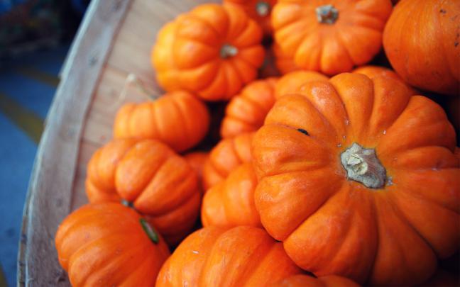 Free Desktop Pumpkin Wallpapers 