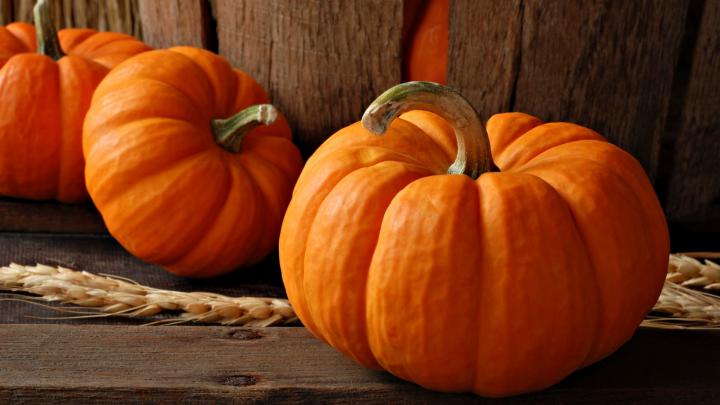 Pumpkin Backgrounds (65+ images)