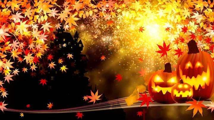 Colorful Beautiful Pumpkin Happy Halloween HD Halloween Wallpapers | HD 