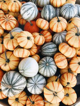 \ud83d\udda4 Aesthetic Halloween Backgrounds Pumpkin - 2021
