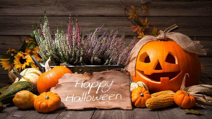 Pumpkins Autumn Flowers HD Happy Halloween Wallpapers | HD Wallpapers 