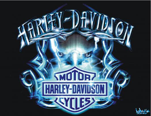 Harley Davidson Logo 