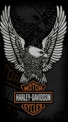 Harley Davidson Logo Phone Wallpapers