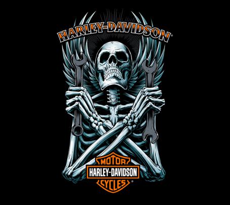 Download Harley Davidson Skull 2160 x 1920 Wallpapers - 4643392 
