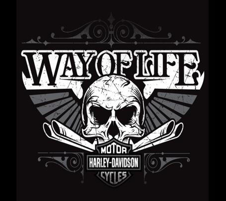 Download Harley Davidson Way of Life 2160 x 1920 Wallpapers - 4643393 
