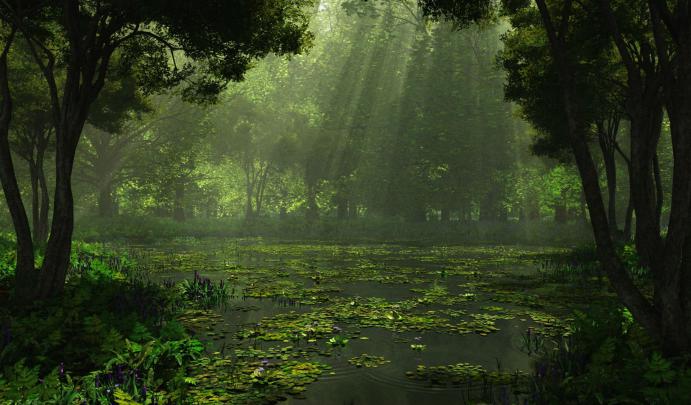 cg, Digital, Art, Lakes, Swamp, Landscapes, Sunlight, Filtered, Beam 